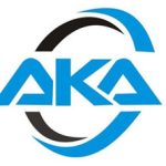 akinola kehinde abioye and co 2