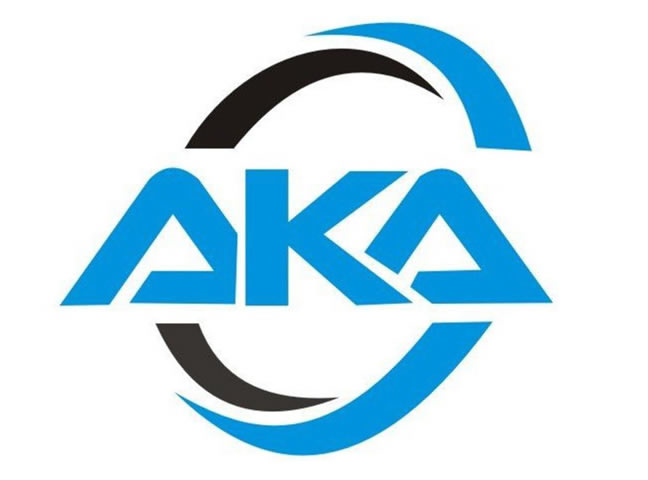 akinola kehinde abioye and co