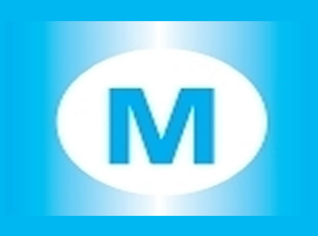 mudgeem city nigeria ltd